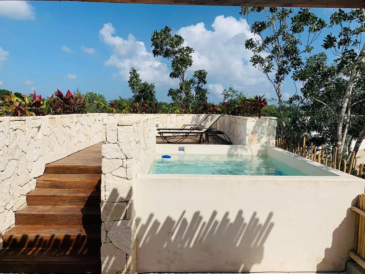 Apartment Vida Boho Apart 16 With Special Fee To Access Hotel Bardo Tulum